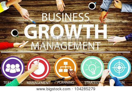 Business Strategy Management Mission Success Concept