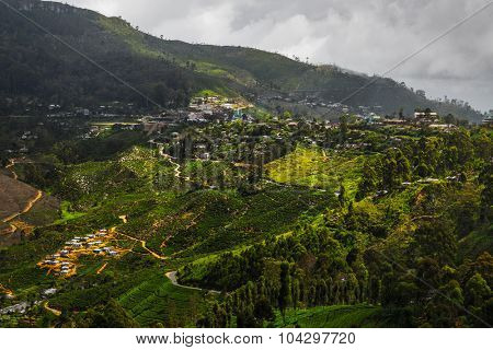 Valley with tea plantations in the highland area. The town of Haputale, Sri Lanka
