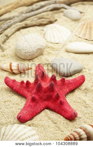 Red Starfish on Golden Sand
