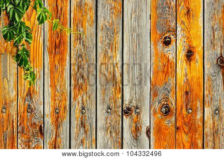 Old Wooden  Wall
