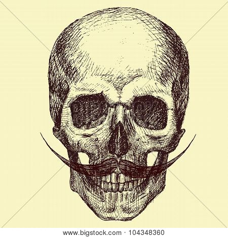 Vector Skull