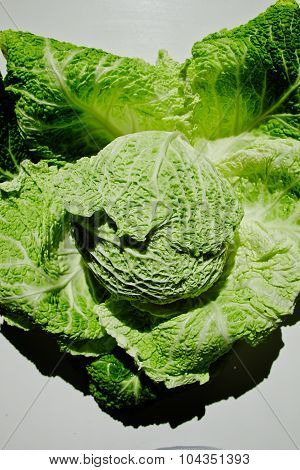 Uncovered Big Green Cabbage In Direct Sunlight On White Table Top View