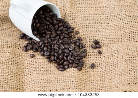 coffee beans