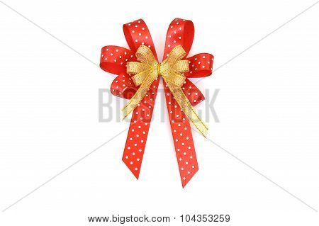 The lady ribbon