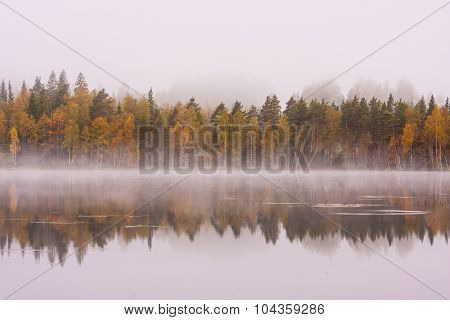 Foggy lake scape and vibrant autumn colors in trees