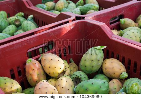 Harvest time