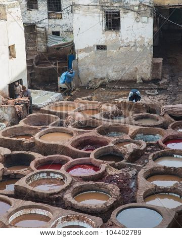The Worker Prepare Leather In Chouara Tannery In Fes