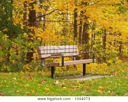 Bench_Fall_Colors