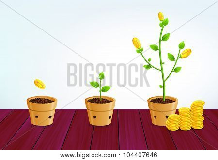 Growing Money Tree. Successful Business Saving Growth Concept