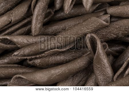 Seppia Pasta Fusilli
