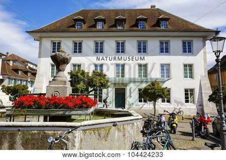 The Natural History Museum In Solothurn
