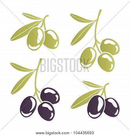 Vector Image Of Stylized Olive Branches