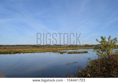 wet marsh land
