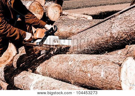 Man sawing a log in his back yard with orange saw