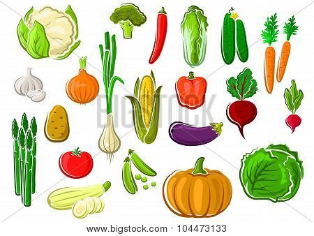 Healthy fresh ripe isolated farm vegetables