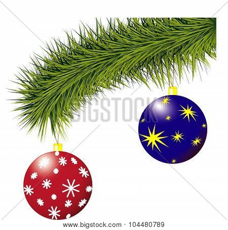 pine branches