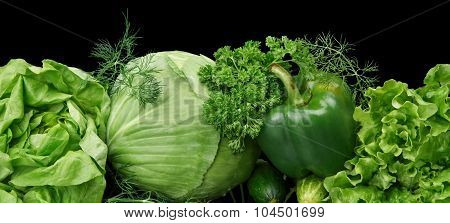 Set Of Green Vege-cabbage,lettuce,bell Pepper,dill On Black At The Bottom