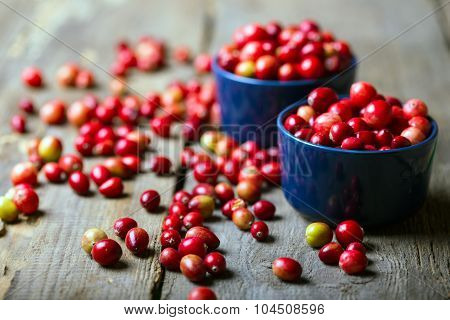 Cranberries