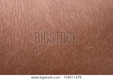 Skin Of A Young Woman Closeup