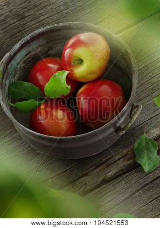 apples