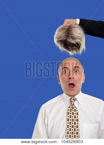Bald man revealed by removing the toupee