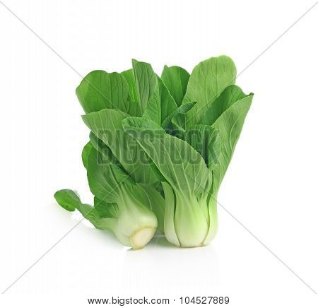 Pok Choi On White Background