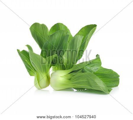 Pok Choi On White Background