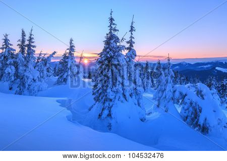 Fantastic orange evening landscape glowing by sunlight. Dramatic wintry scene with snowy trees. Kukul ridge, Carpathians, Ukraine, Europe. Merry Christmas!