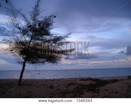 Lone Tree Beach kaupungissa Desaru, Malesia aikana Dusk