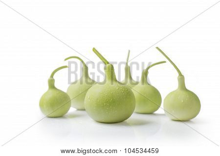 calabash