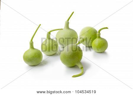 calabash