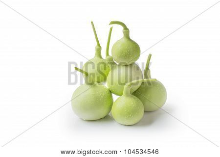 calabash