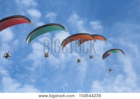 Paragliders