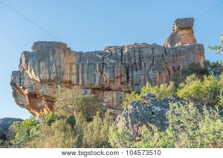 Sandstone Formation At The Gifberg Resort