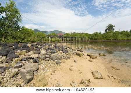 Indonesian Landscape With Mangrove And View Point Walkway