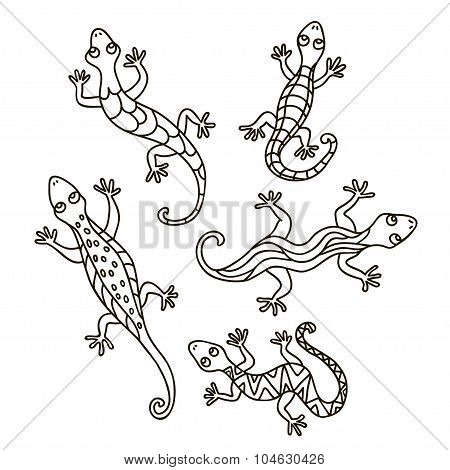 Decorative lizards