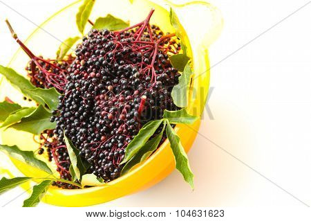 Elder Berries In A Bowl