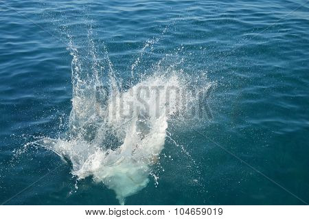 Splashes of water 3