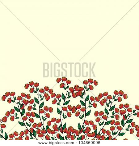 Berry Bush Red Clusterberry