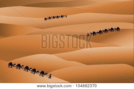 Desert panorama