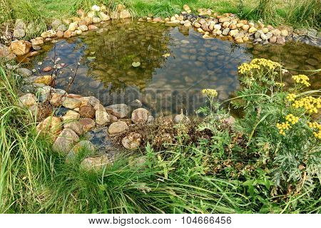 Small Artificial Decorative Pond On The Backyard In Summer