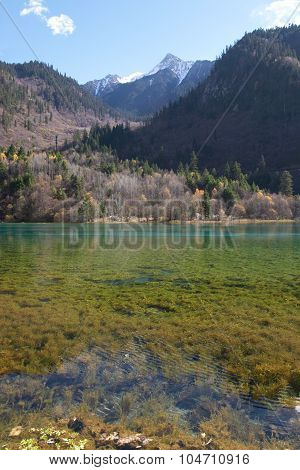 Colourful lake in Jiu Zhai Gou, Sichuan, China