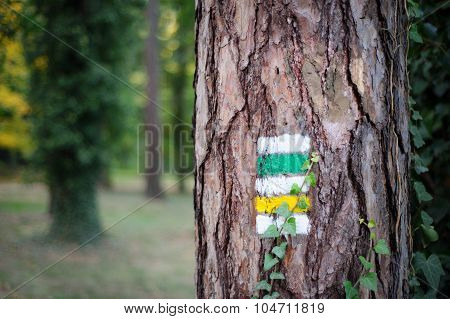 Tourist Trail With Yellow Sign And Green Sign On The Tree