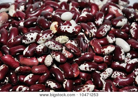 fagioli