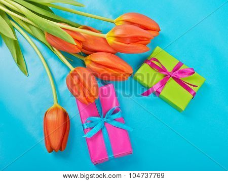 Flowers Red Tulips