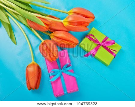Flowers Red Tulips