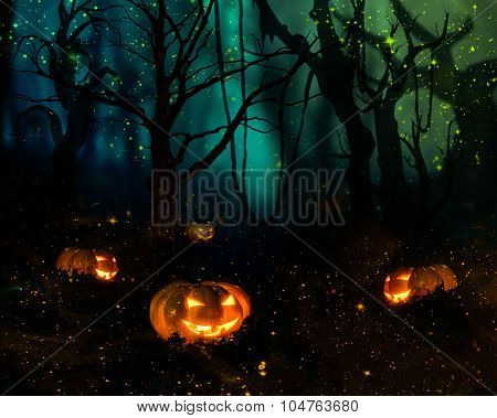 Halloween Pumpkin In A Mystic Forest At Night