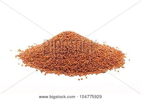 Pile of Organic Small Brown Mustard.
