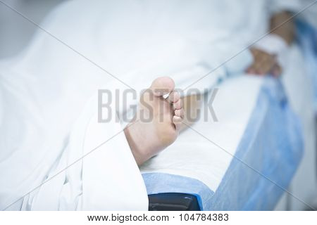 Traumatology Orthopedic Surgery Knee Arthroscopy