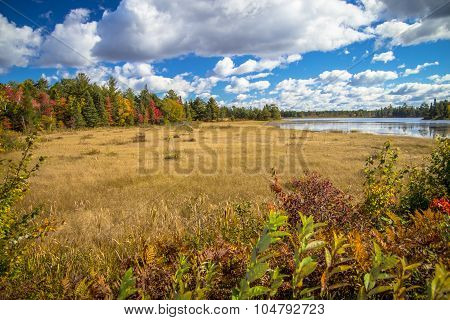Autumn At Seney National Wildlife Refuge